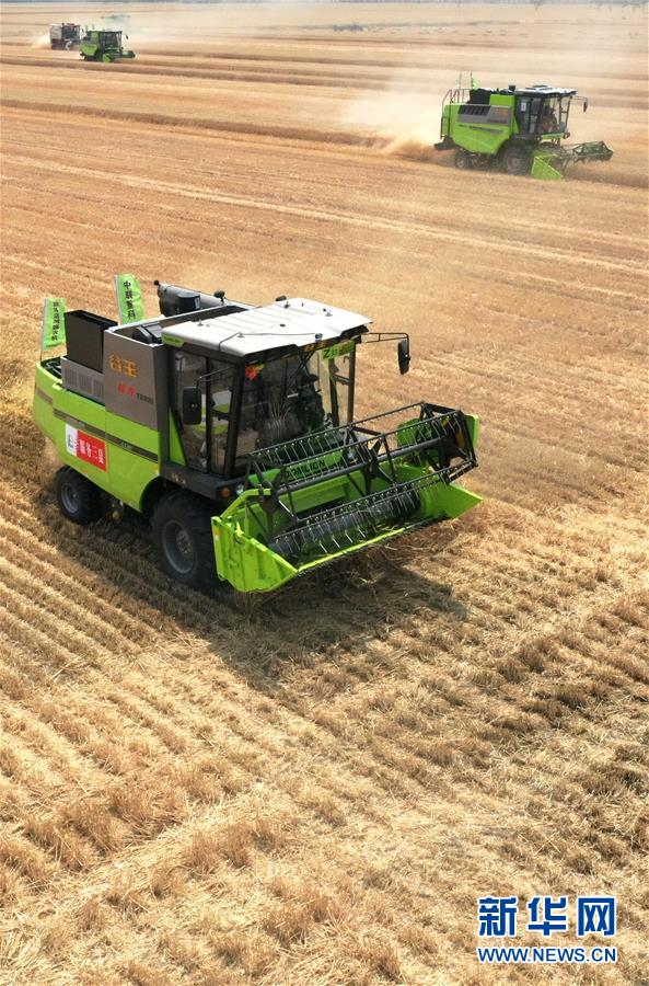 (在习近平新时代中国特色社会主义思想指引下——新时代新作为新篇章·习近平总书记关切事·图文互动)(13)让农民挑上“金扁担”——农业现代化的生动实践扫描