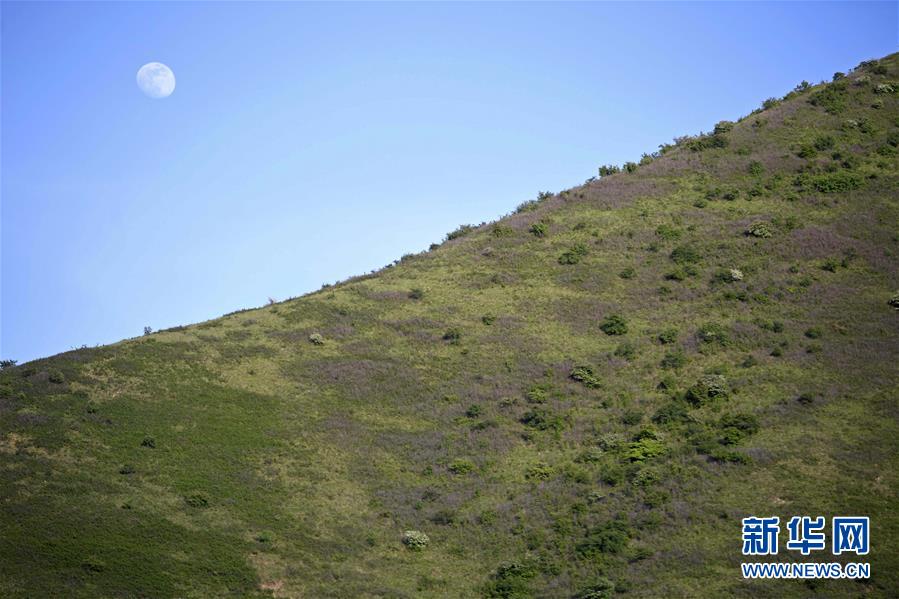 （环境）（1）绿染西海固