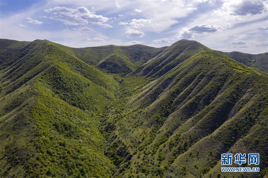 （环境）（3）绿染西海固