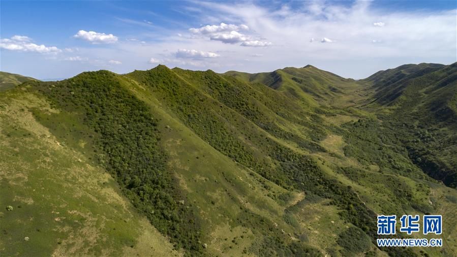 （环境）（4）绿染西海固