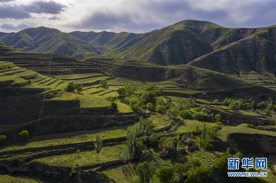 （环境）（5）绿染西海固