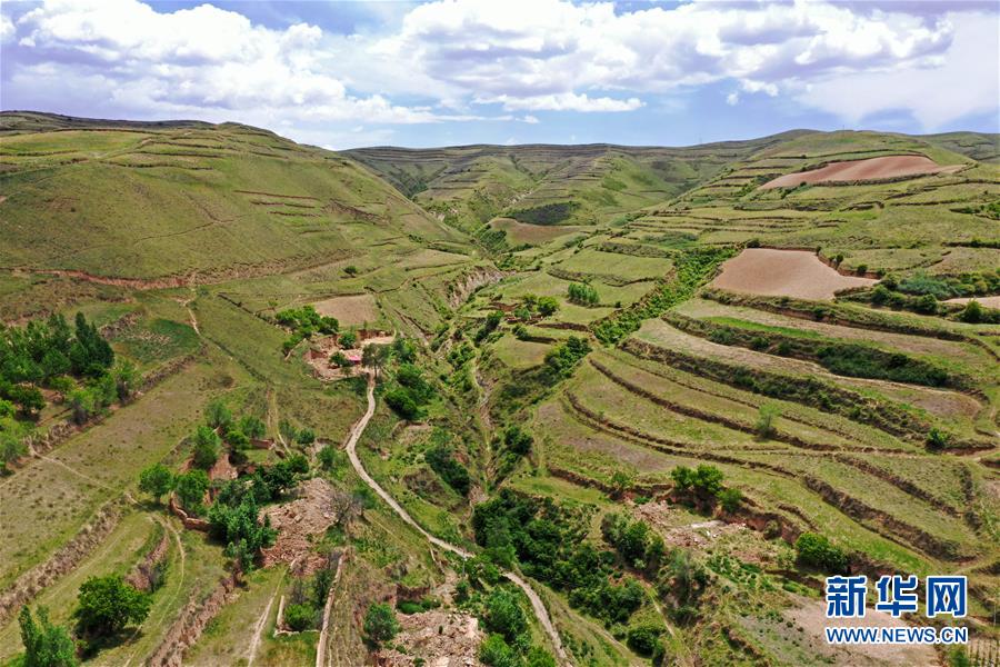 （环境）（7）绿染西海固