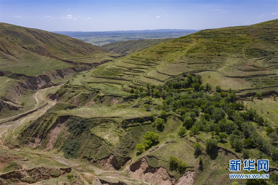 （环境）（8）绿染西海固