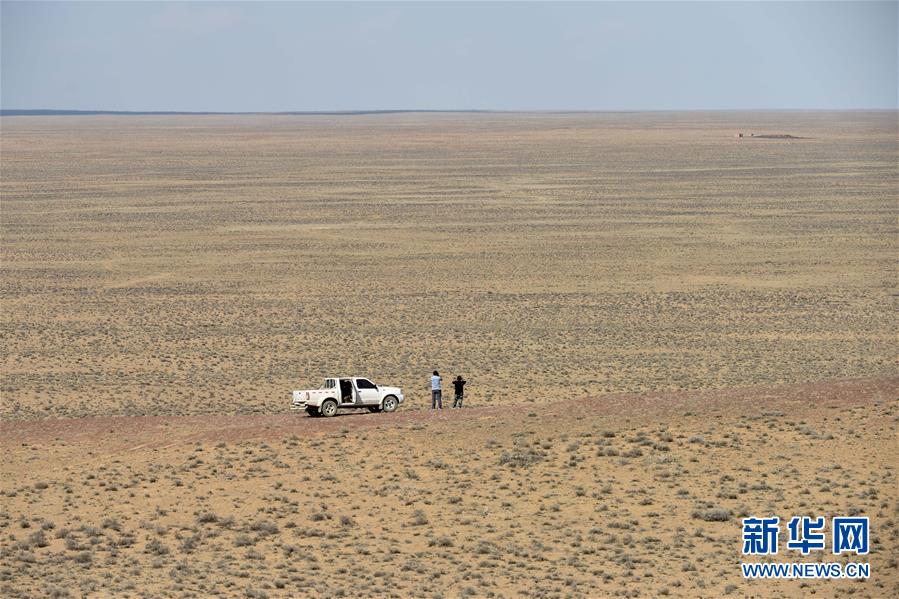 （图文互动）（2）特写：守护重回故乡的普氏野马