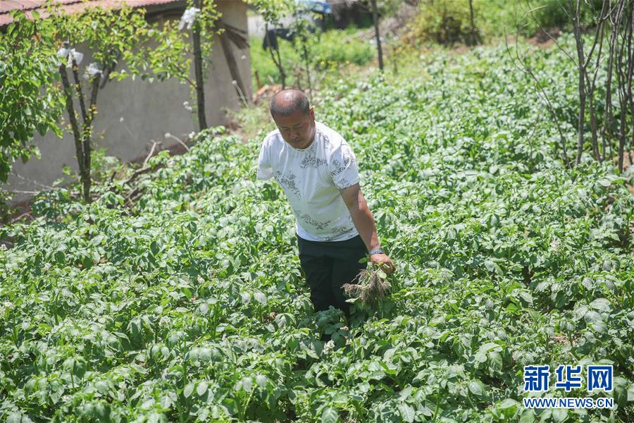 （决战决胜脱贫攻坚&middot;图文互动）（3）独臂农民陈富宝的&ldquo;小康&rdquo;路