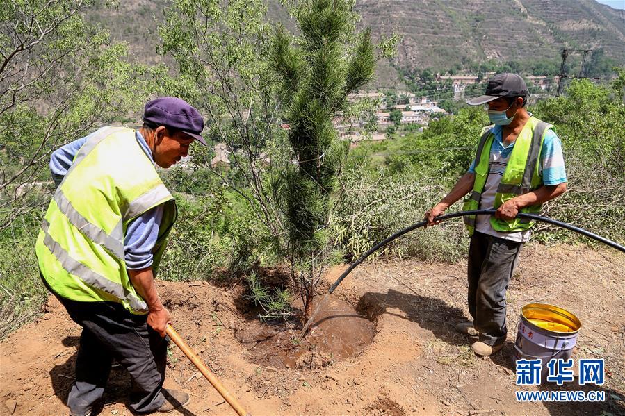 （图文互动）（5）北京：治沙20载 逾854万亩林海拒风沙