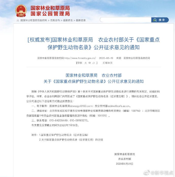 向社会公开征求意见了！长江江豚拟升级为国家一级保护动物