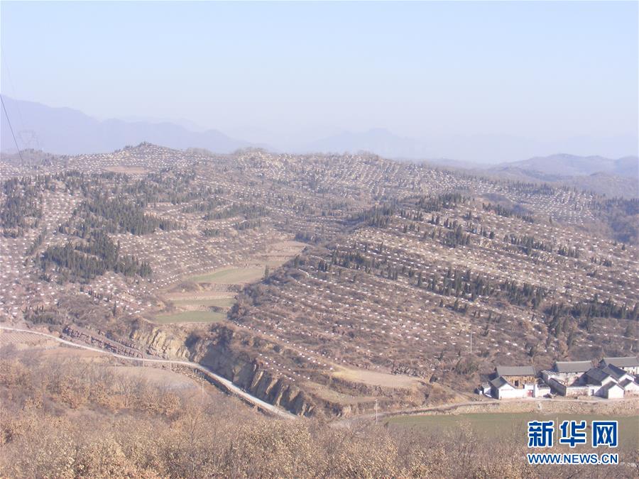 (决战决胜脱贫攻坚·图文互动)(2)“愚公”治山