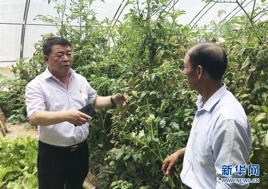 (决战决胜脱贫攻坚·图文互动)(2)鱼渔兼授 志智双扶——穷沟沟“菜富记”