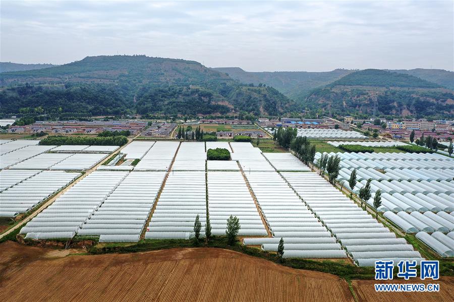 (决战决胜脱贫攻坚·图文互动)(3)鱼渔兼授 志智双扶——穷沟沟“菜富记”