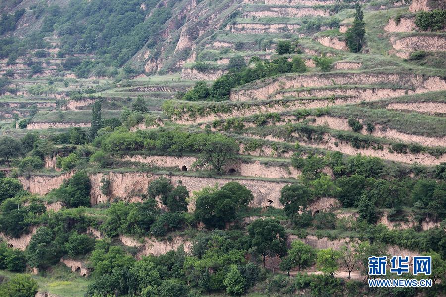 (决战决胜脱贫攻坚·图文互动)(5)鱼渔兼授 志智双扶——穷沟沟“菜富记”