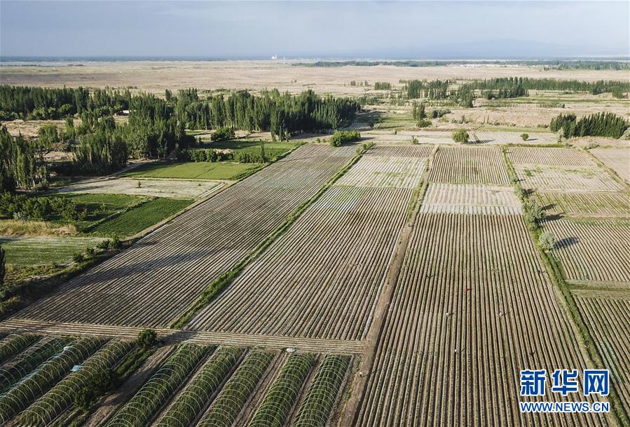 (图文互动)(2)“沙漠高地”的美好家园