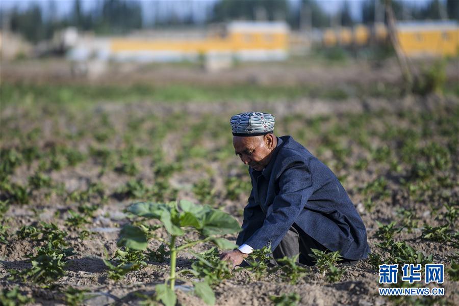 (图文互动)(5)“沙漠高地”的美好家园