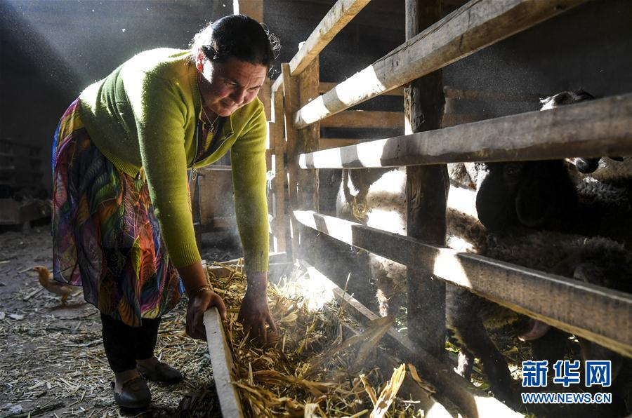 (图文互动)(7)“沙漠高地”的美好家园