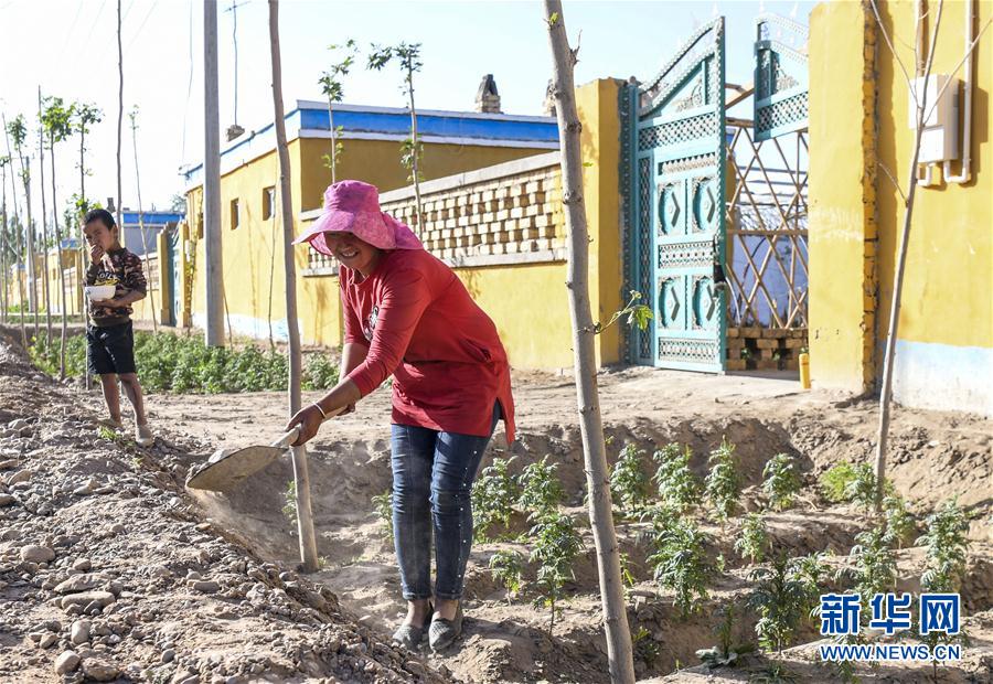 (图文互动)(8)“沙漠高地”的美好家园