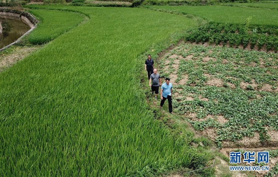 （图文互动）（6）湘南深山，坚守扶贫一线的党员之家