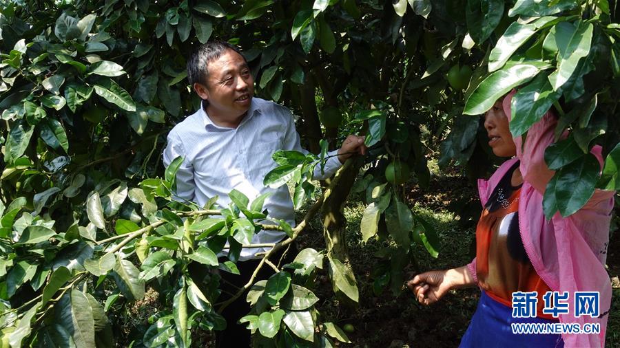 （新华网&middot;决战决胜脱贫攻坚&middot;图文互动）（1）贵州思南：强村带弱村 &ldquo;抱团&rdquo;促增收