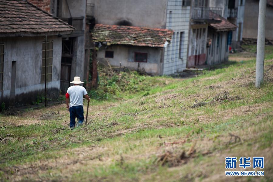(防汛抗洪·图文互动)(3)鏖战南洞庭