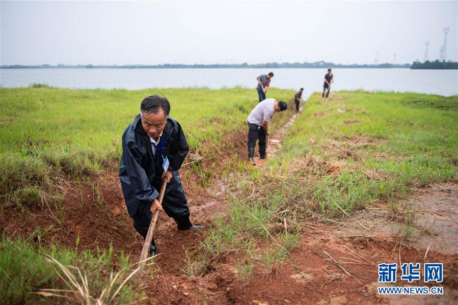 (防汛抗洪·图文互动)(9)鏖战南洞庭