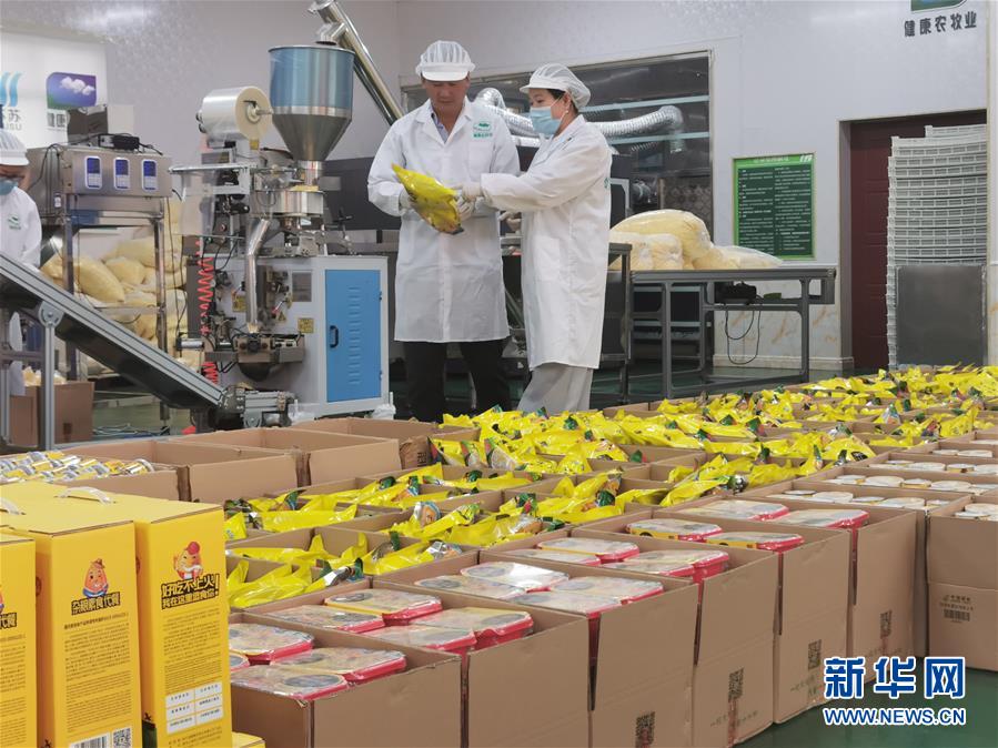 (决战决胜脱贫攻坚·图文互动)玉米“变形”记