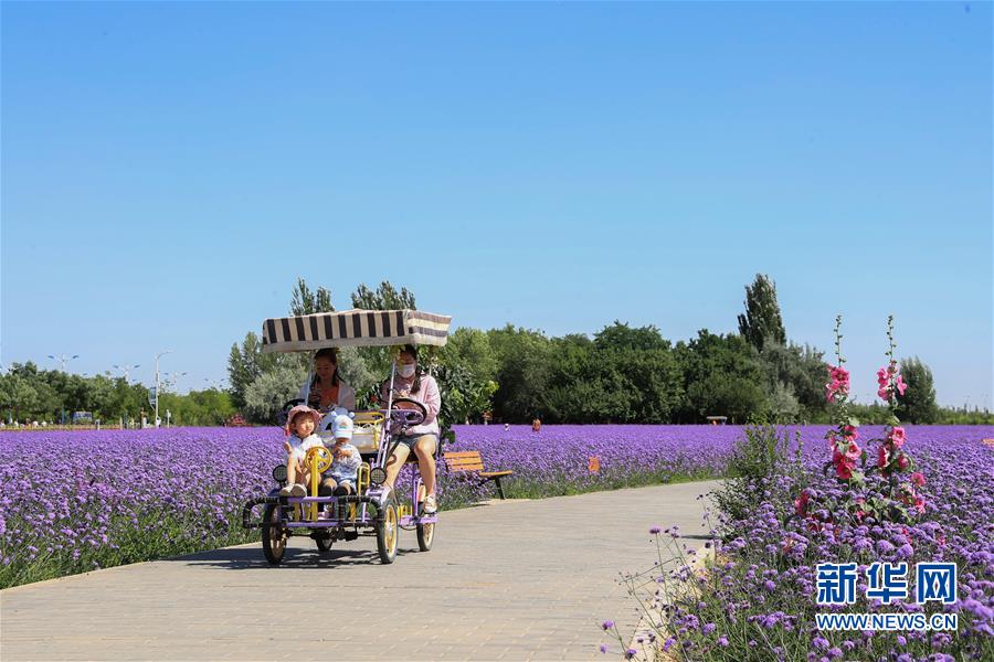 （环境）（3）戈壁&ldquo;镍都&rdquo;变田园花城