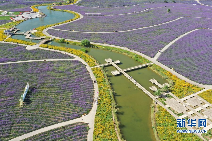 （环境）（1）戈壁&ldquo;镍都&rdquo;变田园花城