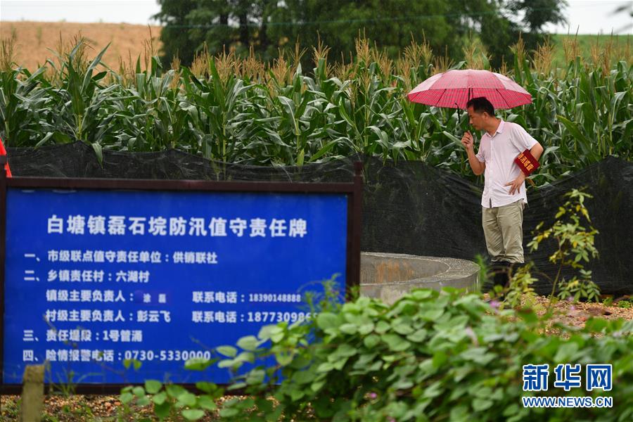 (防汛抗洪·图文互动)(1)“险情不可怕,可怕的是不能及时发现险情”——洞庭湖巡堤查险现场直击