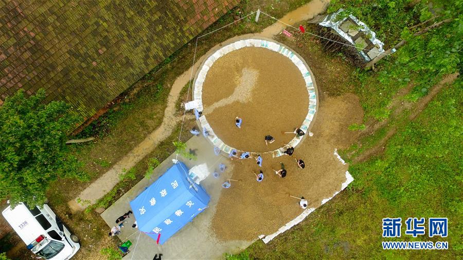 (防汛抗洪·图文互动)(2)“险情不可怕,可怕的是不能及时发现险情”——洞庭湖巡堤查险现场直击