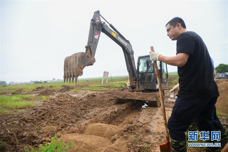 (防汛抗洪·图文互动)(3)“险情不可怕,可怕的是不能及时发现险情”——洞庭湖巡堤查险现场直击