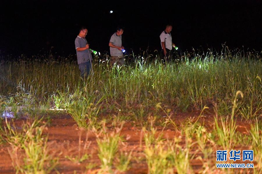 （防汛抗洪·图文互动）（2）“保卫家园，谁都不能是旁观者”——夜访洞庭湖大堤防汛一线