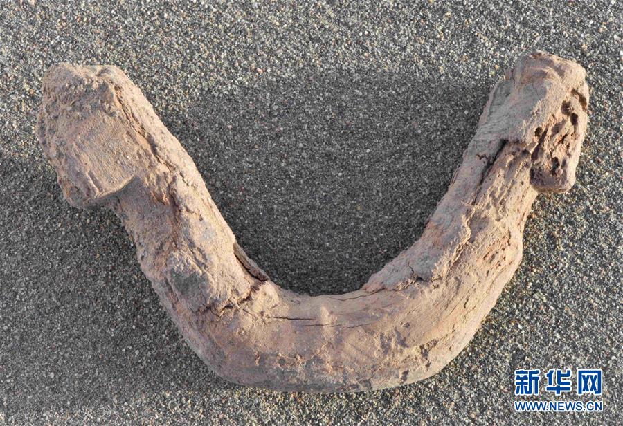 (图文互动)(2)新疆尉犁县克亚克库都克烽燧遗址出土700多件唐代纸文书和木牍