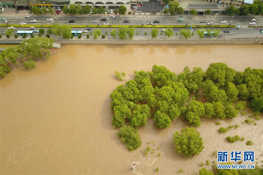 （防汛抗洪）（1）黃河出現2020年第2號洪水