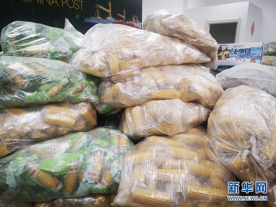 (落实“六稳”“六保”一线见闻·图文互动)(2)老煤城双鸭山开拓就业创业新领地