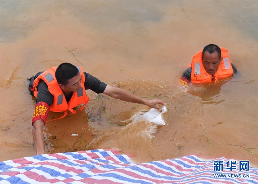 (防汛抗洪·图文互动)(2)抗洪长堤上的“三件宝”