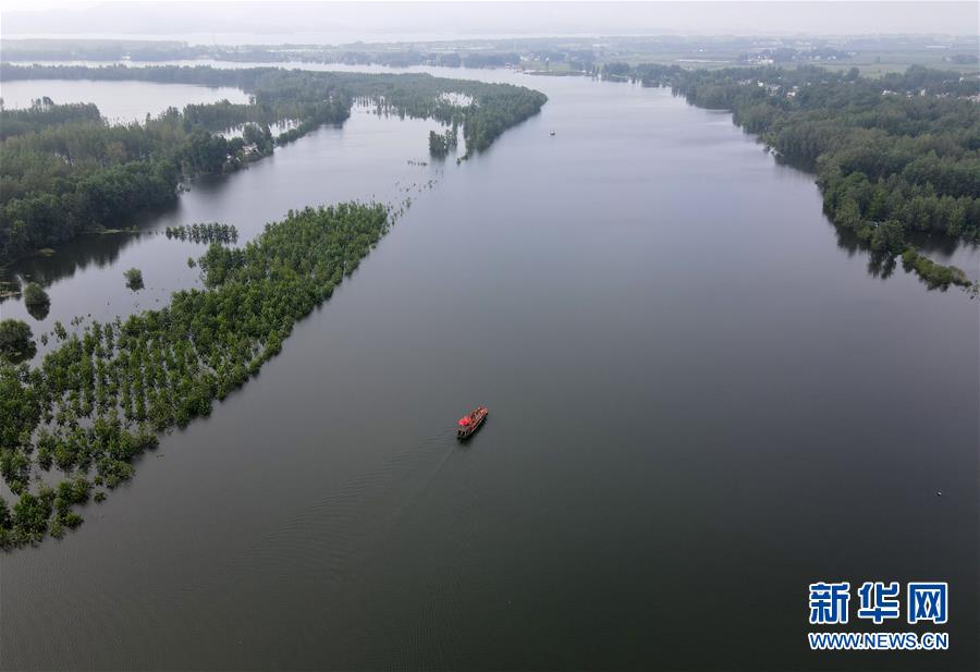 (防汛抗洪)(3)七旬摆渡人“重出江湖”:我为抗洪出份力