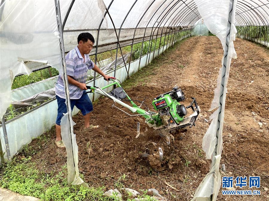 (防汛抗洪·图文互动)(3)修路通水忙重建 补种抢收复生产——湘西山洪后恢复生产生活见闻