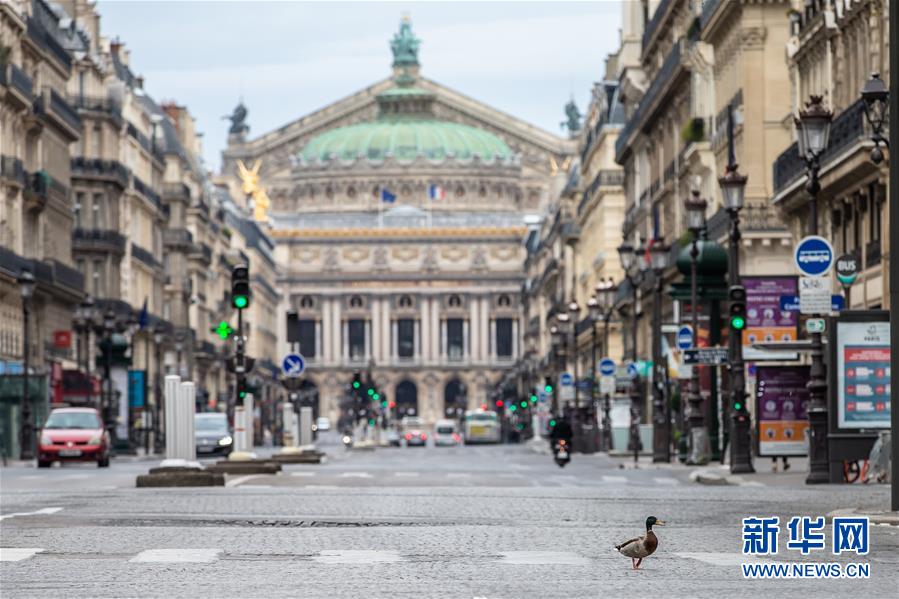 （国际&middot;图文互动）（4）特稿：穿越寒暑 无问西东&mdash;&mdash;写在新冠疫情构成&ldquo;国际关注的突发公共卫生事件&rdquo;半年之际