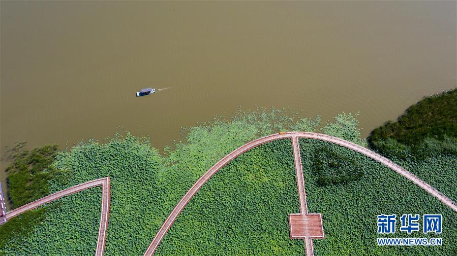 (在习近平新时代中国特色社会主义思想指引下——新时代新作为新篇章·习近平总书记关切事·图文互动)(8)绿色映底蕴,山水见初心——生态优先、绿色发展持续造福群众美好生活