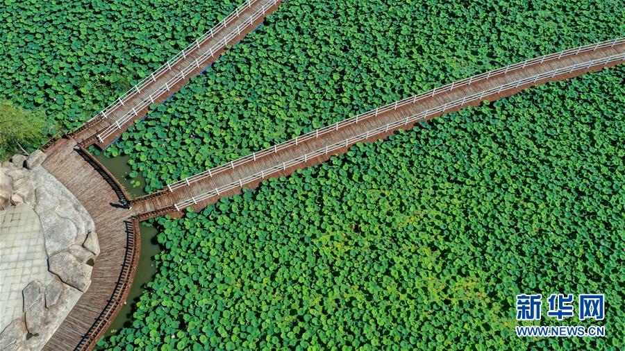 (在习近平新时代中国特色社会主义思想指引下——新时代新作为新篇章·习近平总书记关切事·图文互动)(9)绿色映底蕴,山水见初心——生态优先、绿色发展持续造福群众美好生活