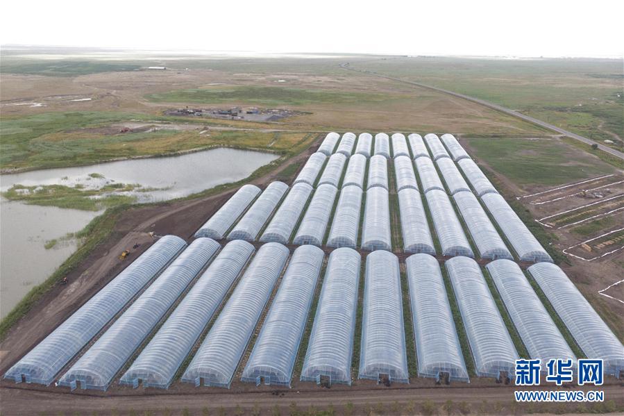 (决战决胜脱贫攻坚·图文互动)(2)幸福村的幸福“菜”事