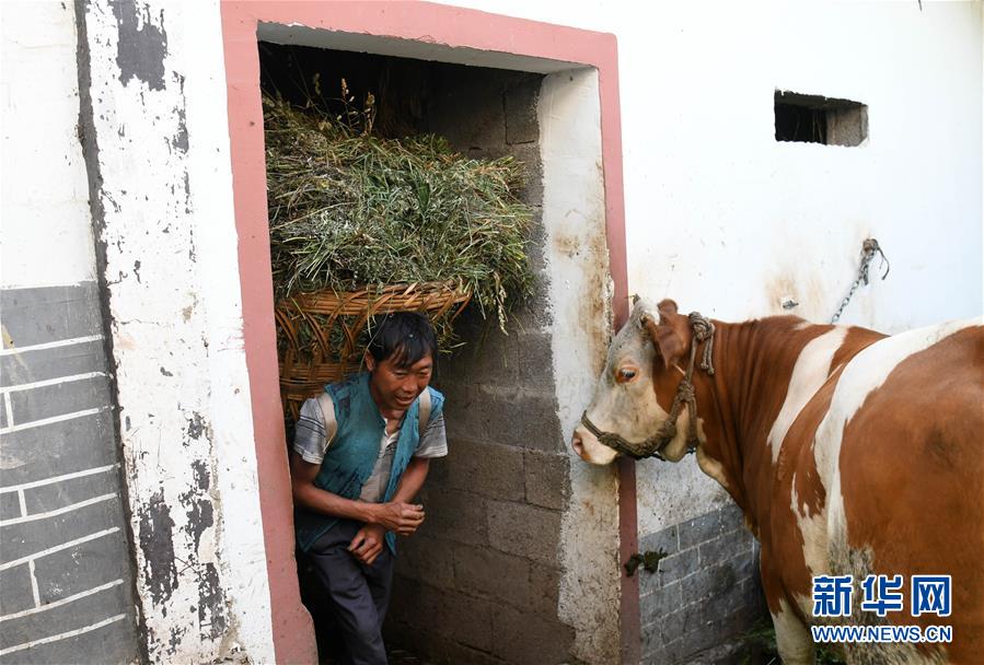 （走向我们的小康生活）（11）贵州海雀村：将绿水青山变成战胜贫困的金山银山