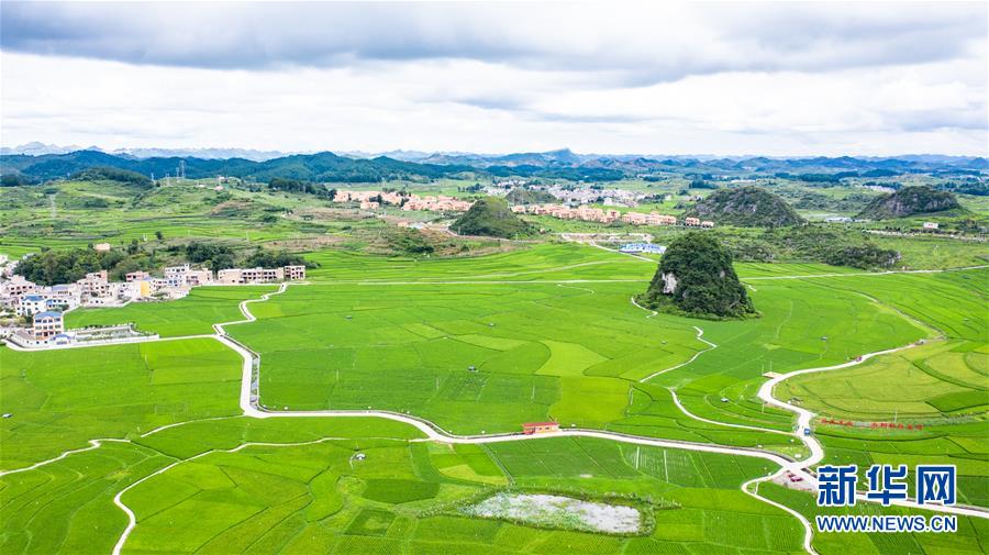 (新华全媒头条·图文互动)(1)脱下军装,奔赴没有硝烟的“战场”——贵州“兵支书”脱贫攻坚一线显身手