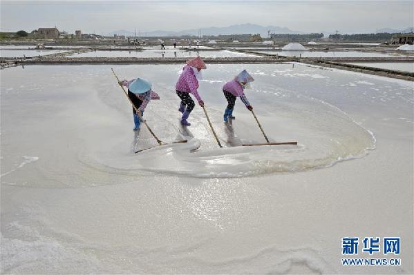 #（社会）（1）福建泉州：防御台风 抢收原盐