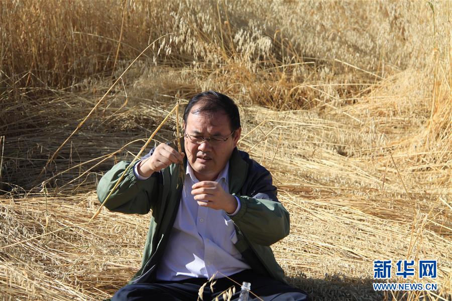 (新时代担当作为典型·图文互动)(1)草地生态专家赵新全:情深不舍三江源