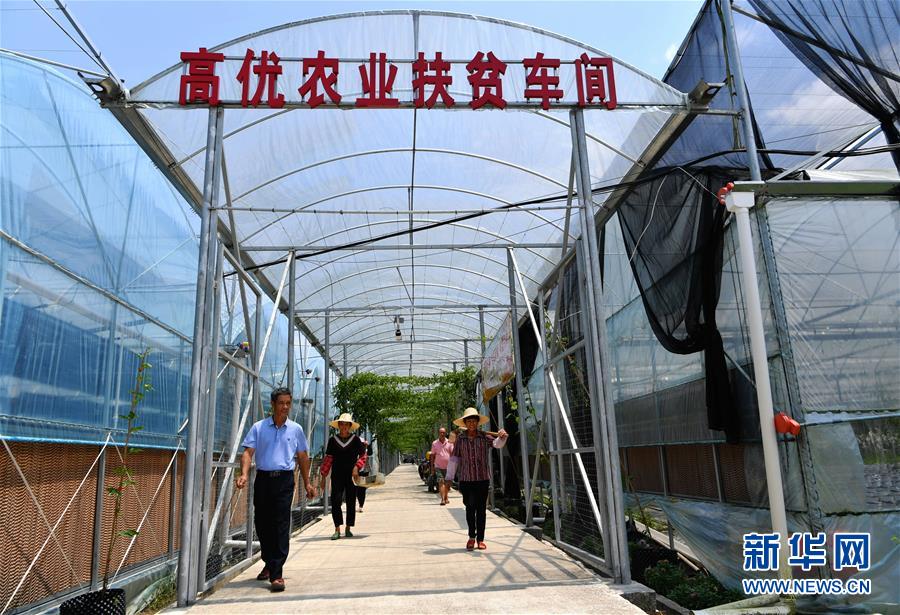 (走向我们的小康生活·图文互动)(3)“红土地”越来越红火——福建老区苏区发展新貌掠影