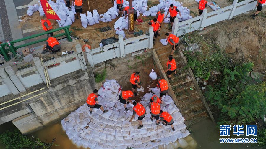 (防汛抗洪·一线人物·图文互动)(1)集智战洪魔——陆军某舟桥旅重舟一营抗洪记事