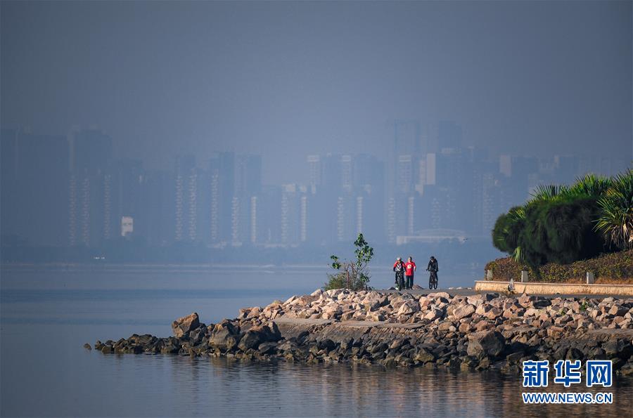 （新华全媒头条&middot;图文互动）（10）鲲鹏展翅九万里&mdash;&mdash;深圳奋力跑好建设中国特色社会主义先行示范区&ldquo;第一程&rdquo;