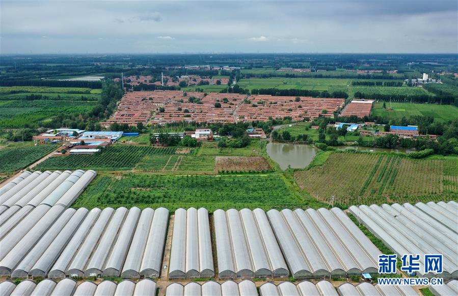 （走向我们的小康生活）（1）产业发展富乡村