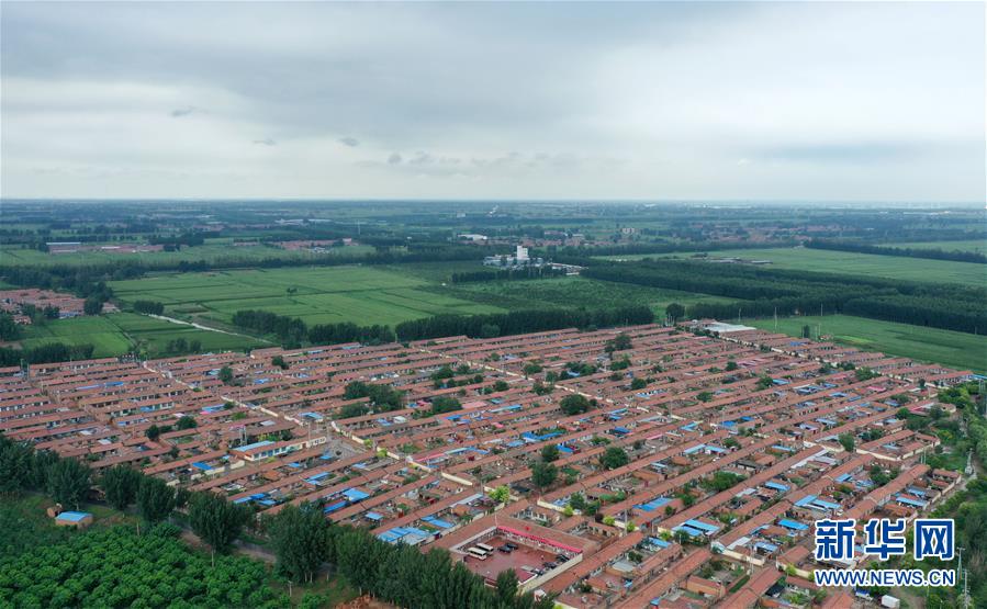 （走向我们的小康生活）（7）产业发展富乡村