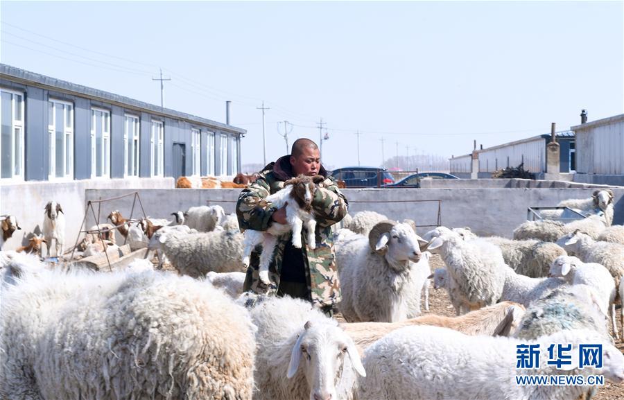 （脱贫攻坚&middot;扶贫印记）（12）&ldquo;搬&rdquo;出来的幸福